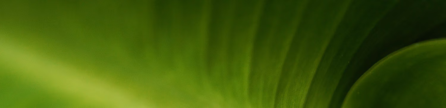 sustainability-consulting-services-gauteng