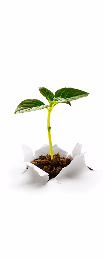 sustainability-consulting-services-gauteng