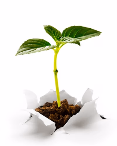 sustainability-consulting-services-gauteng