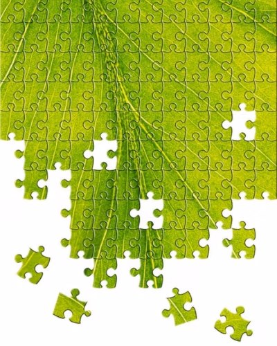 sustainability-consulting-services-gauteng