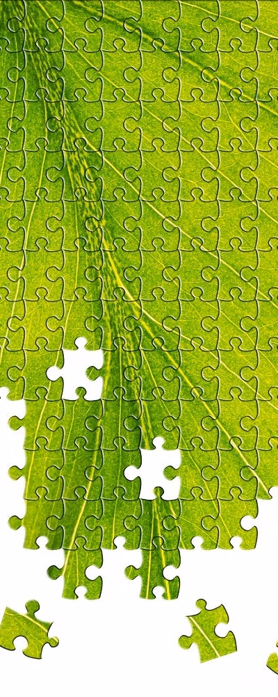 sustainability-consulting-services-gauteng