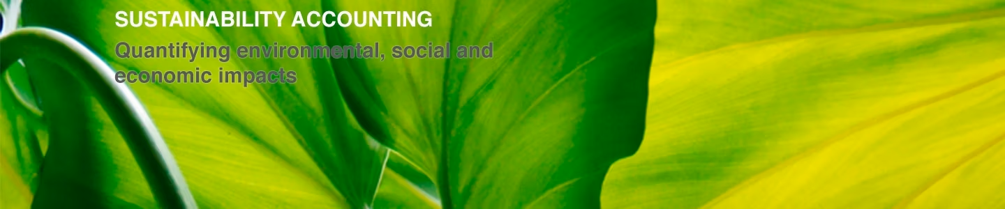 sustainability-consulting-services-gauteng