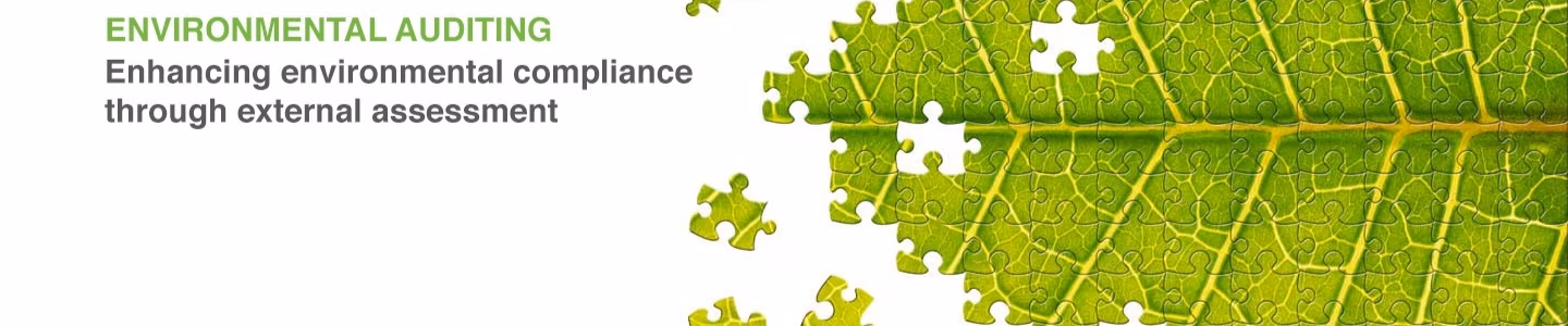 sustainability-consulting-services-gauteng