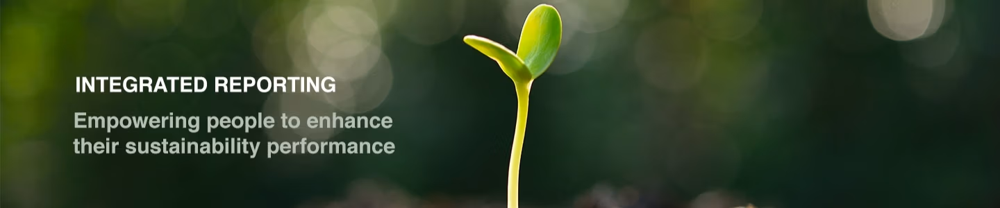 sustainability-consulting-services-gauteng